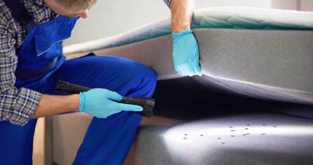 Best Rat Extermination Near Me  in Ridgefield, WA