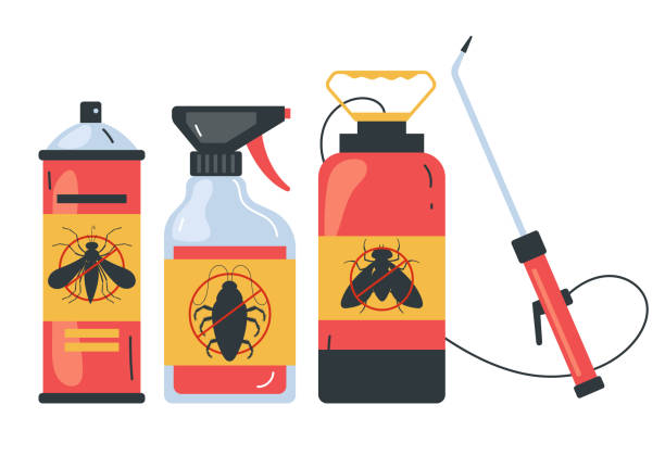 Best Ant Control Services  in Ridgefield, WA